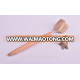 Eco-friendly beech wood dish cleaning brush in brush